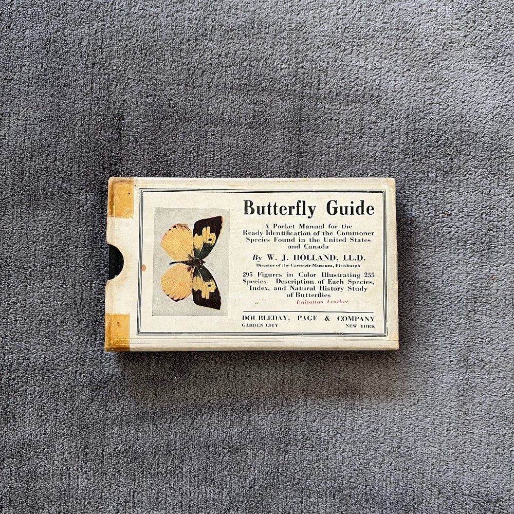 The Butterfly Guide Pocket Manual by W J Holland 255 Species Illustrated 1929